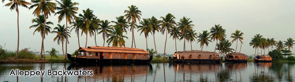 alleppybackwater